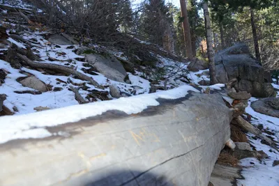 DSC_5071 (Large).JPG